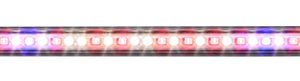 AgroLED iSunlight 41 Watt T5 4 ft Bloom LED Lamp (25/Cs)