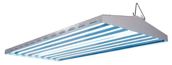 New Wave T5 48 - 4 ft 8 Lamp 277 Volt
