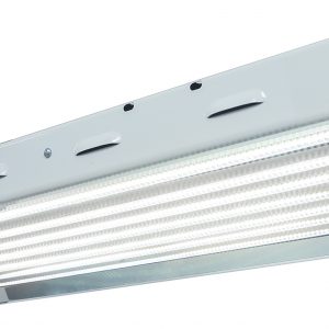 Sun Blaze T5 LED 48 - 4 ft 8 Lamp 240 Volt (24/Plt)